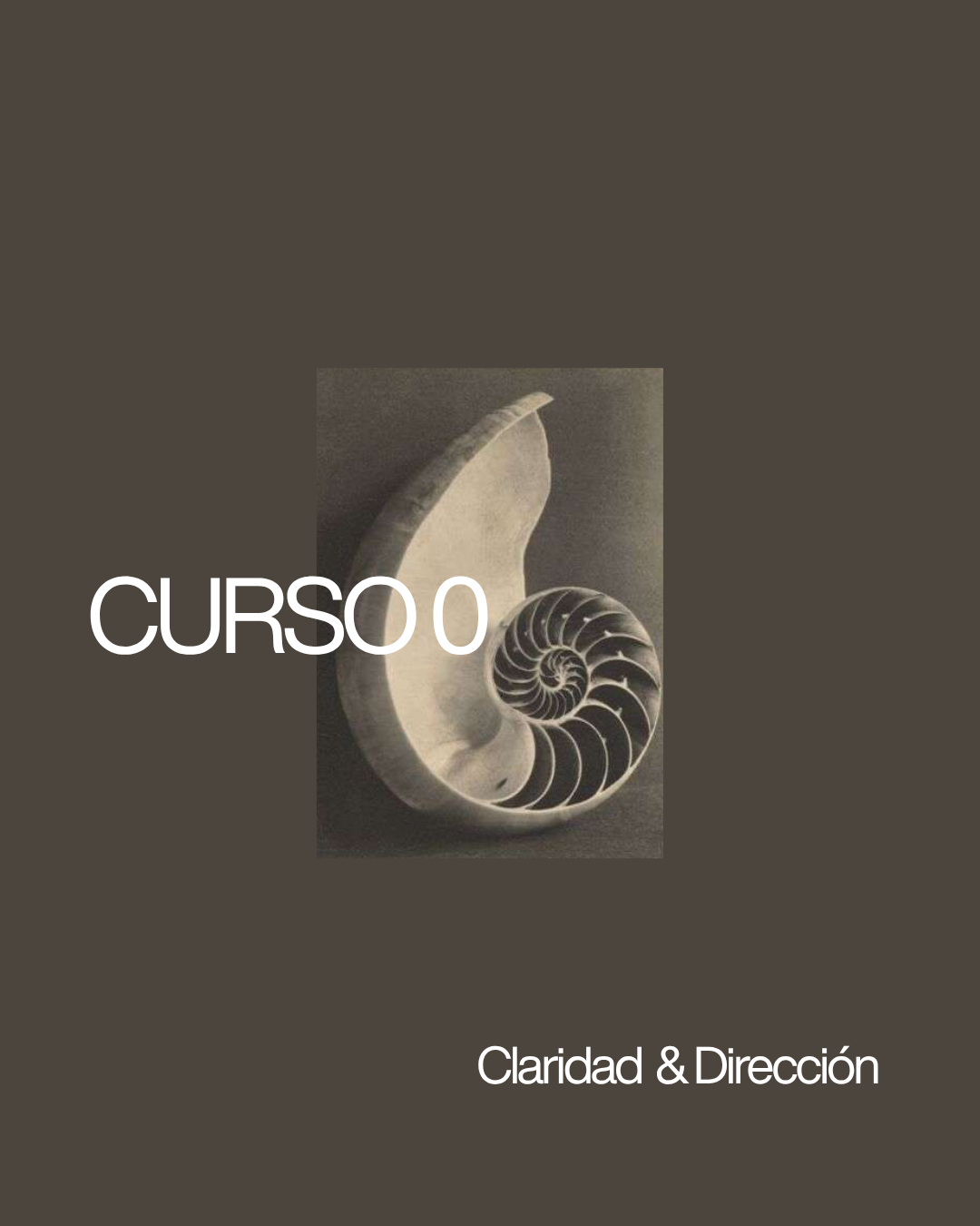 Curso 0 — Claridad & Dirección