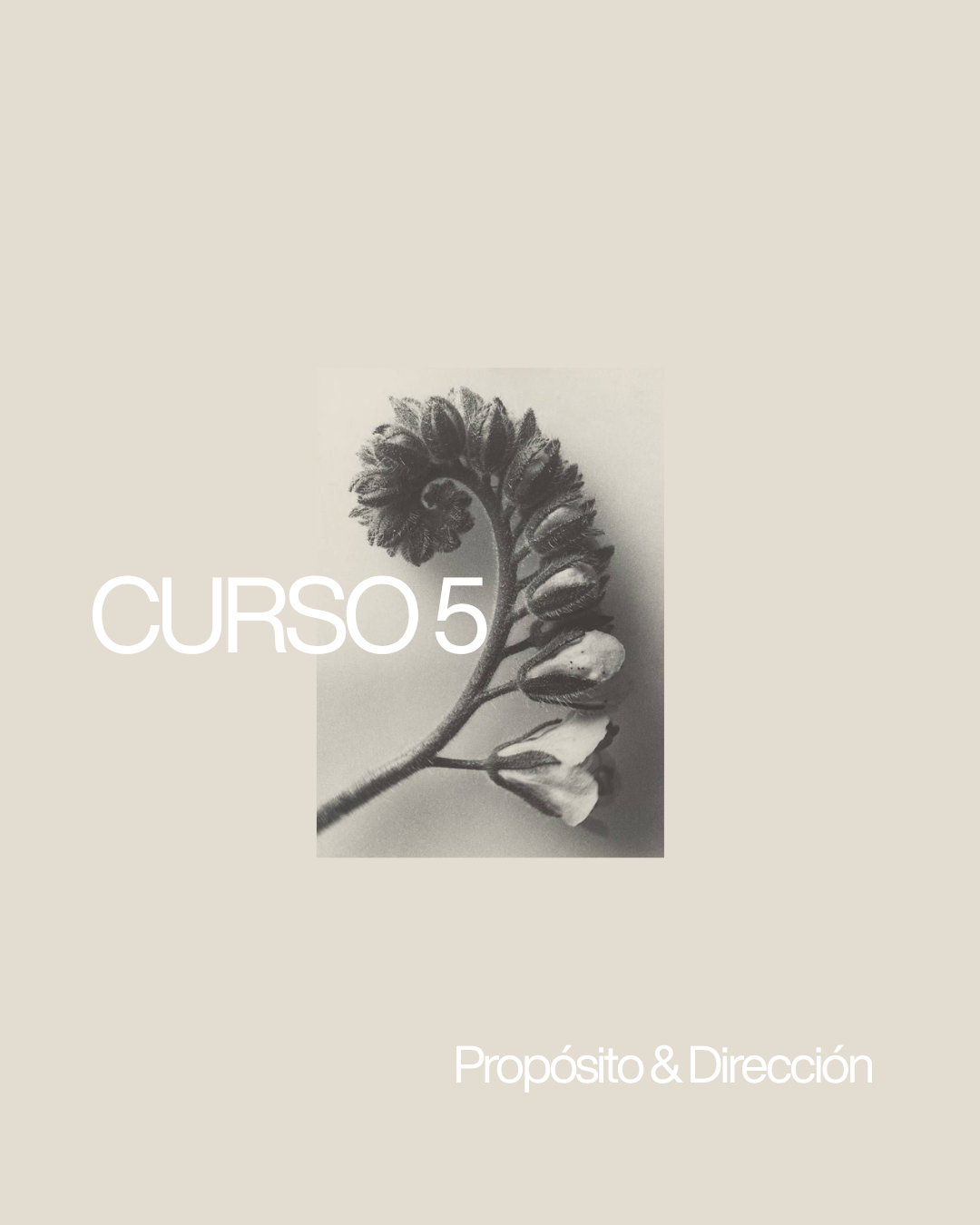 Curso 5 — Propósito & Dirección